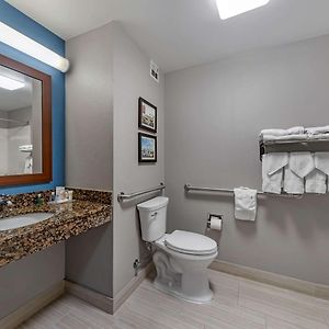 King Room Hearing Accessible Roll Shower Non-Smoking